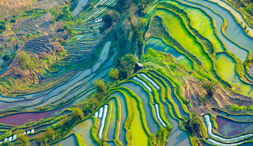 宝妈必备神器：双清区产品视频拍摄轻松育儿好帮手